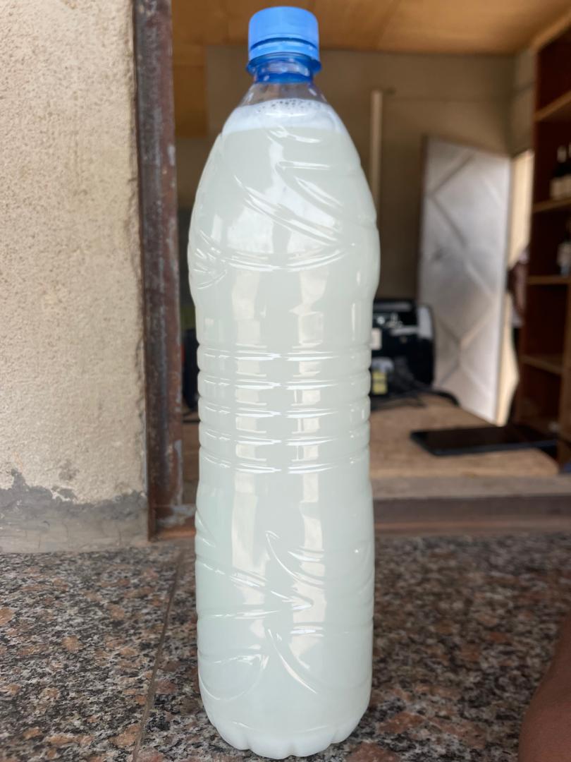 VIN DE PALME